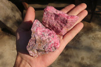 Natural Rough Rhodonite Specimens  x 6 From Zimbabwe