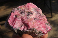 Natural Rough Rhodonite Specimens  x 6 From Zimbabwe