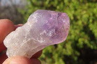 Natural Jacaranda Amethyst Crystals x 35 From Zambia