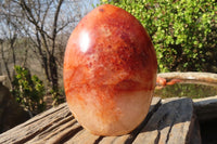 Polished Carnelian Agate Standing Free Form  x 1 From Madagascar