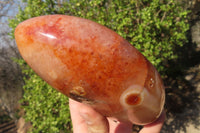 Polished Carnelian Agate Standing Free Form  x 1 From Madagascar