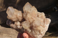 Natural Cascading Smokey Quartz Cluster x 1 From Luena, Congo