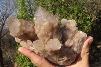 Natural Cascading Smokey Quartz Cluster x 1 From Luena, Congo