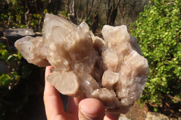 Natural Cascading Smokey Quartz Cluster x 1 From Luena, Congo