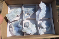 Natural Etched Blue Chalcedony Specimens  x 6 From Malawi