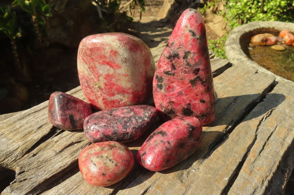 Polished Red Rhodonite Free Forms x 6 From Ambindavato, Madagascar