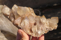 Natural Cascading Smokey Quartz Clusters x 2 From Luena, Congo