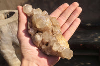 Natural Cascading Smokey Quartz Clusters x 2 From Luena, Congo