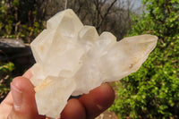 Natural Castle Quartz Crystal Specimens  x 12 From Madagascar