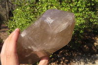 Polished Extra Large Smokey Quartz Point  x 1 From Madagascar