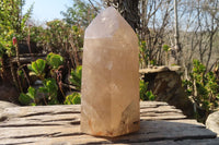 Polished Extra Large Smokey Quartz Point  x 1 From Madagascar