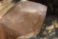 Polished Extra Large Smokey Quartz Point  x 1 From Madagascar