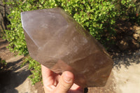 Polished Extra Large Smokey Quartz Point  x 1 From Madagascar