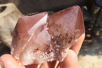 Natural Red Hematoid Quartz Specimens x 12 From Karoi, Zimbabwe