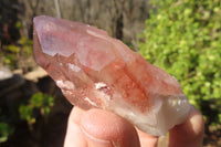 Natural Red Hematoid Quartz Specimens x 12 From Karoi, Zimbabwe