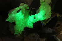 Natural Fluorescent Hyalite Opal Specimen  x 1 From Erongo, Namibia