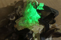 Natural Fluorescent Hyalite Opal Specimen  x 1 From Erongo, Namibia