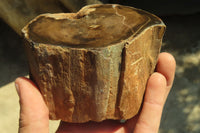 Polished Petrified Wood Branch Pieces  x 3 From Gokwe, Zimbabwe