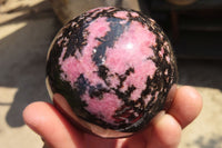 Polished Rhodonite Spheres  x 6 From Ambindavato, Madagascar