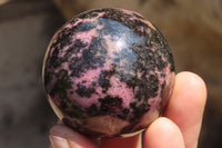 Polished Rhodonite Spheres  x 6 From Ambindavato, Madagascar