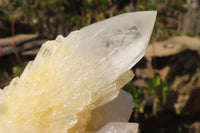 Natural Rare Sugar Quartz Clusters x 2 From Ambatfinhandrana, Madagascar