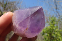 Polished Jacaranda Amethyst Crystals x 12 From Zambia