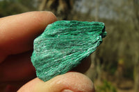 Natural Chatoyant Silky Malachite Specimens  x 70 From Kasompe, Congo