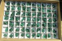 Natural Chatoyant Silky Malachite Specimens  x 70 From Kasompe, Congo