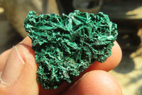 Natural Chatoyant Silky Malachite Specimens  x 70 From Kasompe, Congo