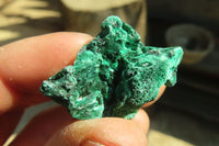 Natural Chatoyant Silky Malachite Specimens  x 70 From Kasompe, Congo