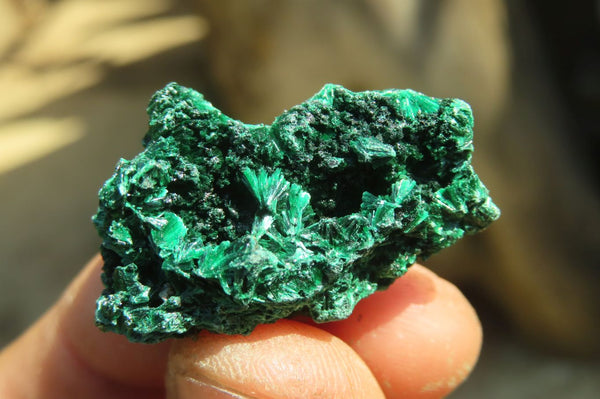 Natural Chatoyant Silky Malachite Specimens  x 70 From Kasompe, Congo