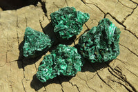 Natural Chatoyant Silky Malachite Specimens  x 70 From Kasompe, Congo