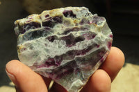 Polished One Side Polished Watermelon Fluorite Pieces  x 12 From Uis, Namibia