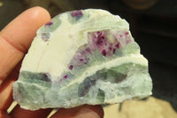 Polished One Side Polished Watermelon Fluorite Pieces  x 12 From Uis, Namibia