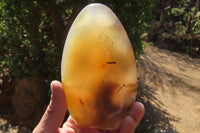 Polished Dendritic Agate Standing Free Forms  x 2 From Madagascar