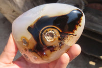 Polished Dendritic Agate Standing Free Forms  x 2 From Madagascar