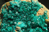 Natural Extra Large Emerald Dioptase Dolomite Specimen  x 1 From Congo