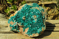 Natural Extra Large Emerald Dioptase Dolomite Specimen  x 1 From Congo