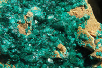 Natural Extra Large Emerald Dioptase Dolomite Specimen  x 1 From Congo