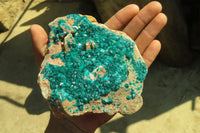 Natural Extra Large Emerald Dioptase Dolomite Specimen  x 1 From Congo