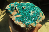 Natural Extra Large Emerald Dioptase Dolomite Specimen  x 1 From Congo