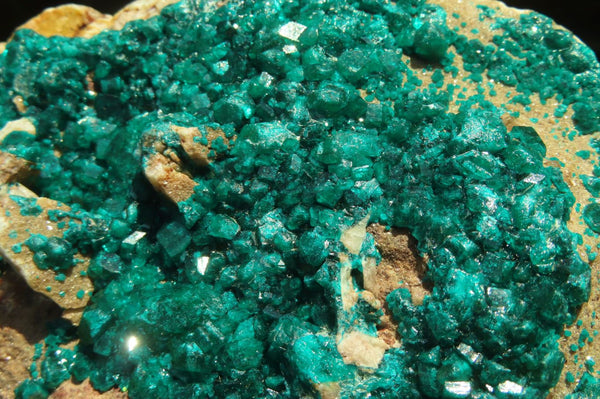 Natural Extra Large Emerald Dioptase Dolomite Specimen  x 1 From Congo