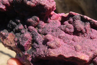 Natural Pink Salrose Cobaltion Dolomite Specimens  x 3 From Kakanda, Congo