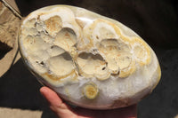 Polished Extra Large Agate Geode x 1 From Madagascar