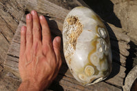 Polished Extra Large Agate Geode x 1 From Madagascar