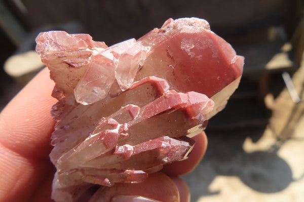 Natural Red Hematite Quartz Specimens  x 24 From Karoi, Zimbabwe