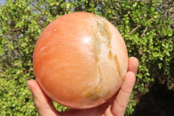 Polished Extra Large Orange Twist Calcite Sphere  x 1 From Maevantanana, Madagascar