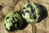 Polished Leopard Stone Gallets  x 6 From Inyanga, Zimbabwe