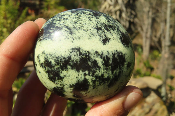 Polished Leopard Stone Gallets  x 6 From Inyanga, Zimbabwe