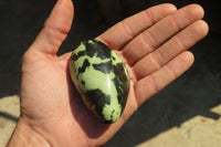 Polished Leopard Stone Gallets  x 6 From Inyanga, Zimbabwe